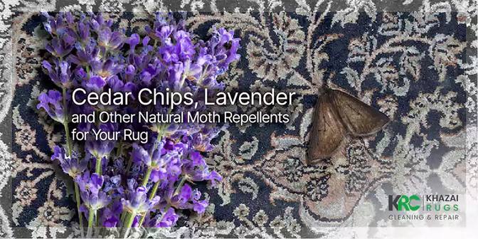 Moth Repellent Services for Rugs