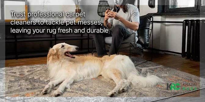How to Keep a Rug Clean with Dogs - Tips and Tricks for Pet Owners