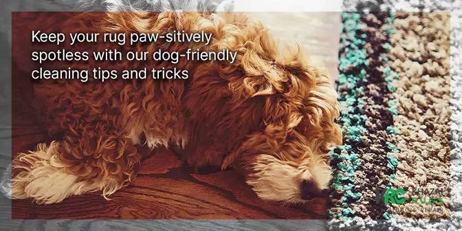 How to Keep a Rug Clean with Dogs - Tips and Tricks for Pet Owners