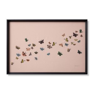 Butterflies,BUTTF