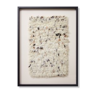 Vicuna,VICUX