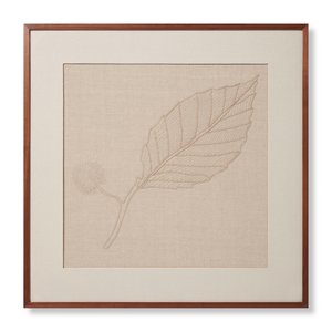 Mountain Mint,MOUNT
